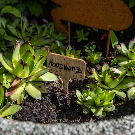 180gradblick Kierwang