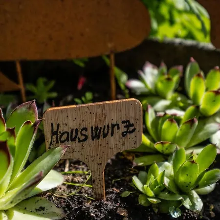 180gradblick 招待所 Kierwang