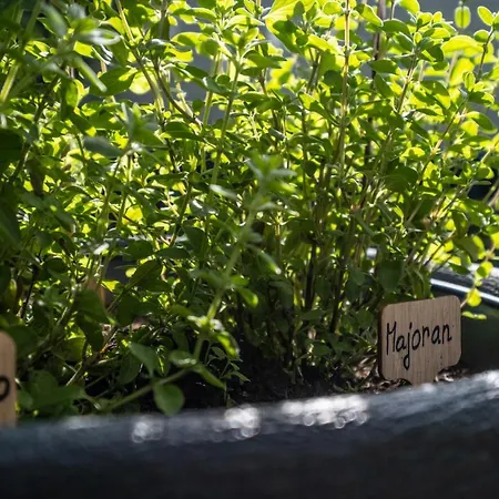 招待所 180gradblick